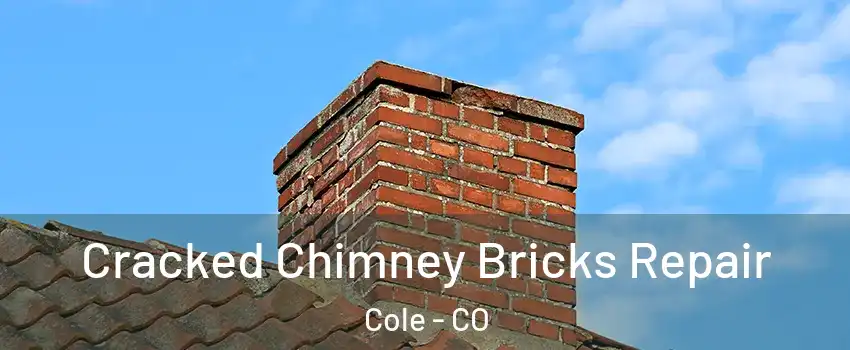 Cracked Chimney Bricks Repair Cole - CO