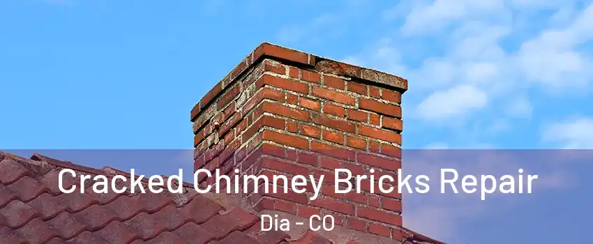 Cracked Chimney Bricks Repair Dia - CO
