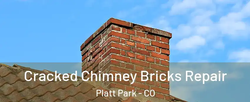 Cracked Chimney Bricks Repair Platt Park - CO