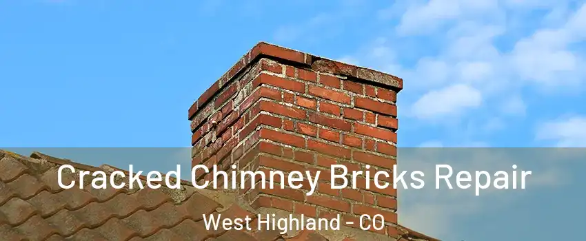 Cracked Chimney Bricks Repair West Highland - CO
