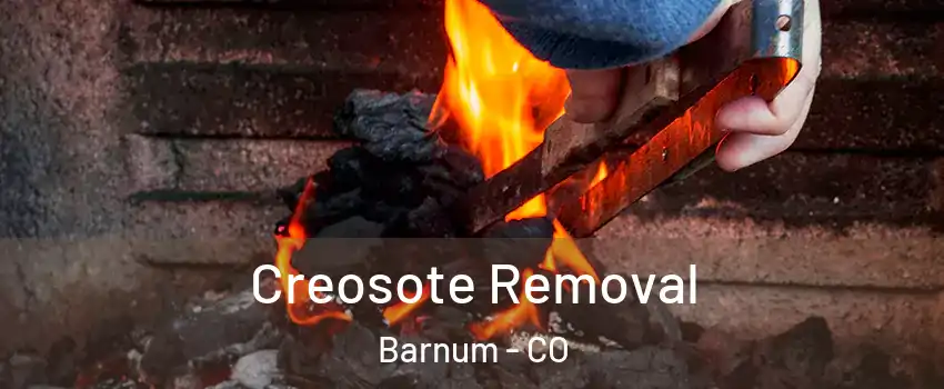 Creosote Removal Barnum - CO
