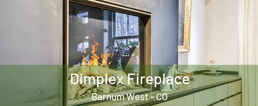 Dimplex Fireplace Barnum West - CO