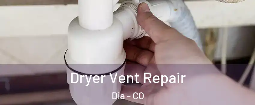 Dryer Vent Repair Dia - CO