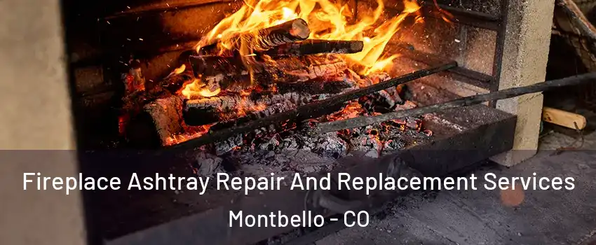 Fireplace Ashtray Repair And Replacement Services Montbello - CO