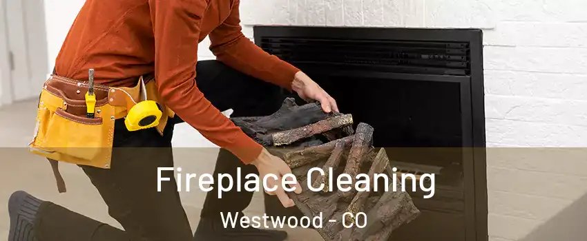 Fireplace Cleaning Westwood - CO
