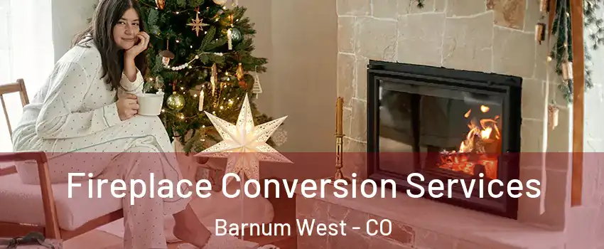 Fireplace Conversion Services Barnum West - CO