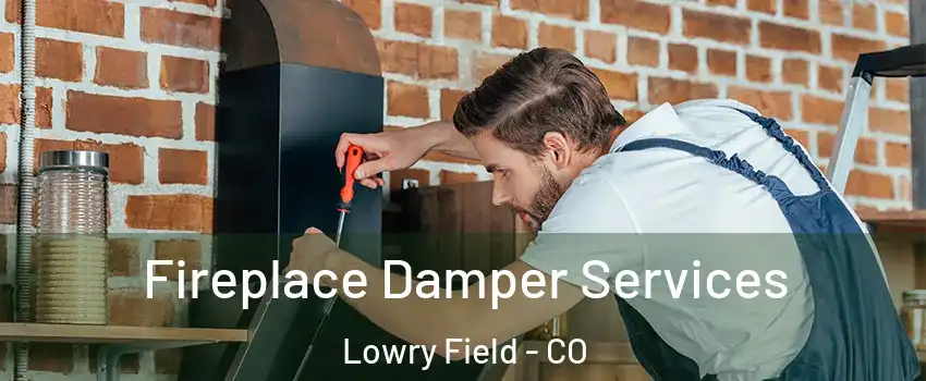 Fireplace Damper Services Lowry Field - CO