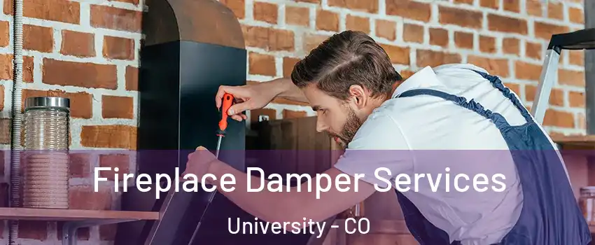Fireplace Damper Services University - CO