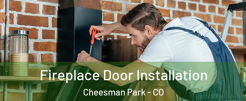 Fireplace Door Installation Cheesman Park - CO