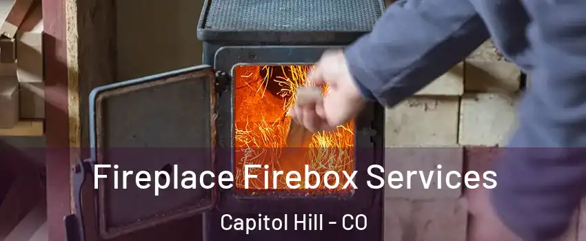 Fireplace Firebox Services Capitol Hill - CO