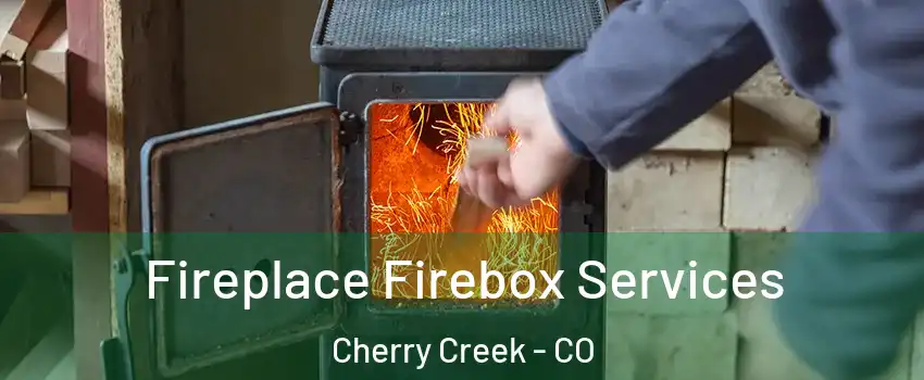 Fireplace Firebox Services Cherry Creek - CO