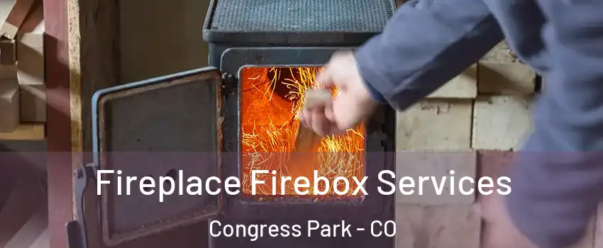 Fireplace Firebox Services Congress Park - CO