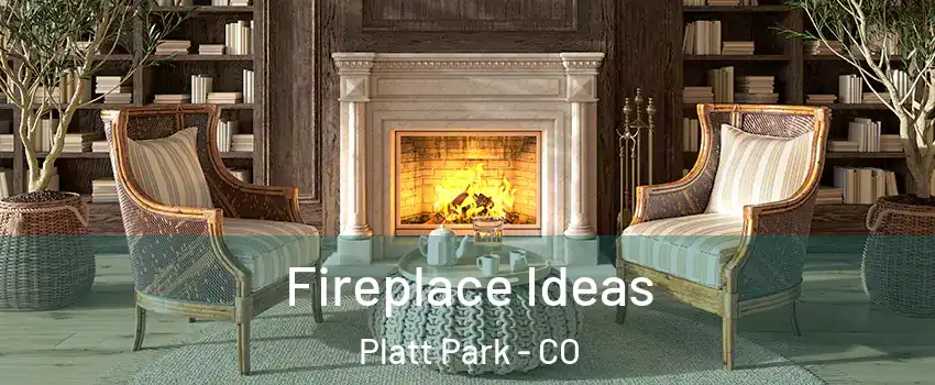Fireplace Ideas Platt Park - CO