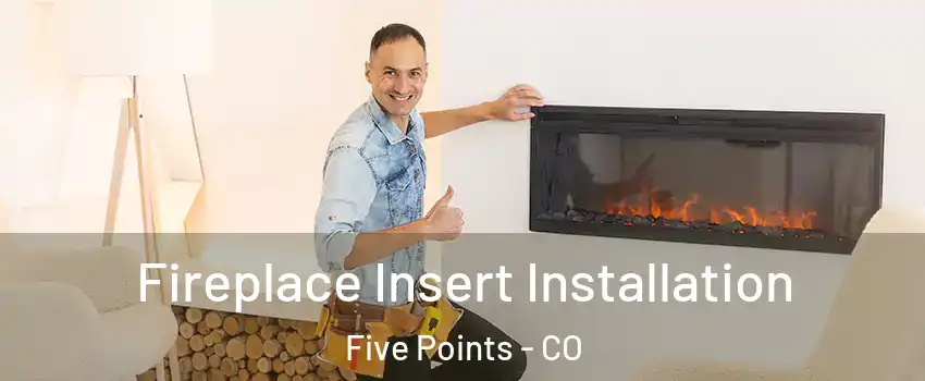 Fireplace Insert Installation Five Points - CO