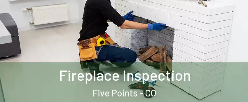 Fireplace Inspection Five Points - CO