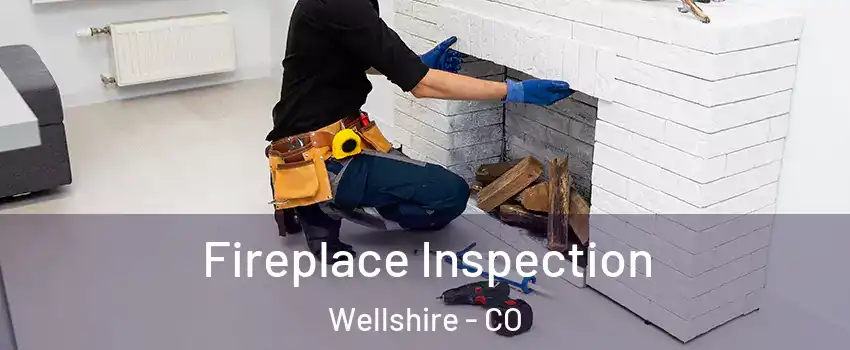 Fireplace Inspection Wellshire - CO