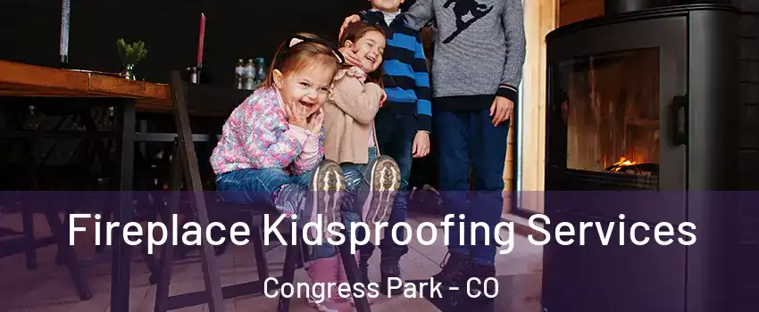 Fireplace Kidsproofing Services Congress Park - CO