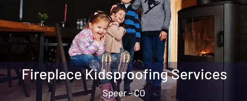 Fireplace Kidsproofing Services Speer - CO