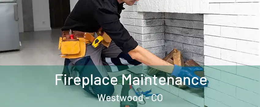 Fireplace Maintenance Westwood - CO