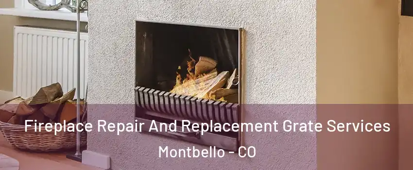 Fireplace Repair And Replacement Grate Services Montbello - CO