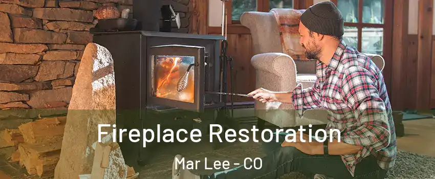 Fireplace Restoration Mar Lee - CO