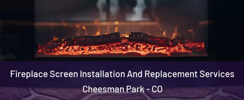 Fireplace Screen Installation And Replacement Services Cheesman Park - CO