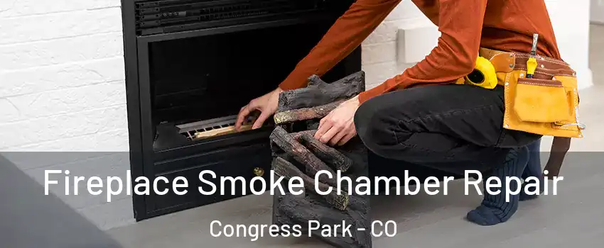 Fireplace Smoke Chamber Repair Congress Park - CO