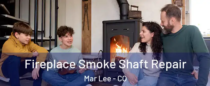 Fireplace Smoke Shaft Repair Mar Lee - CO