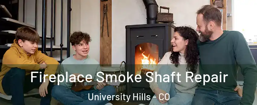 Fireplace Smoke Shaft Repair University Hills - CO