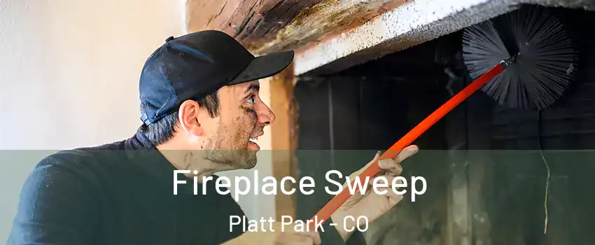 Fireplace Sweep Platt Park - CO