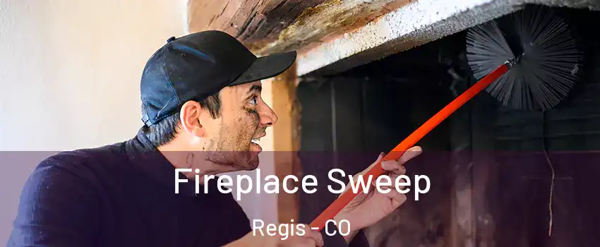 Fireplace Sweep Regis - CO