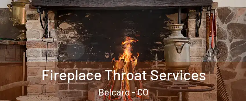 Fireplace Throat Services Belcaro - CO