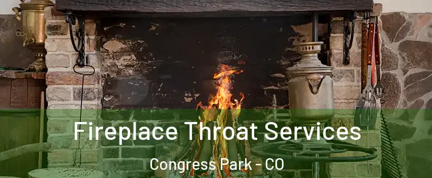 Fireplace Throat Services Congress Park - CO