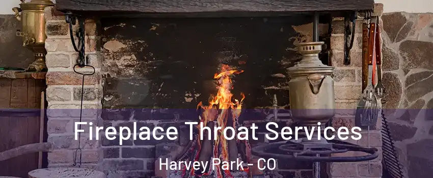 Fireplace Throat Services Harvey Park - CO