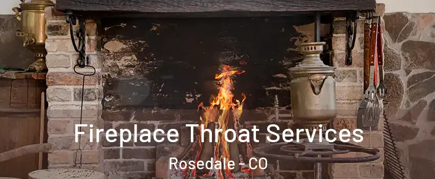 Fireplace Throat Services Rosedale - CO