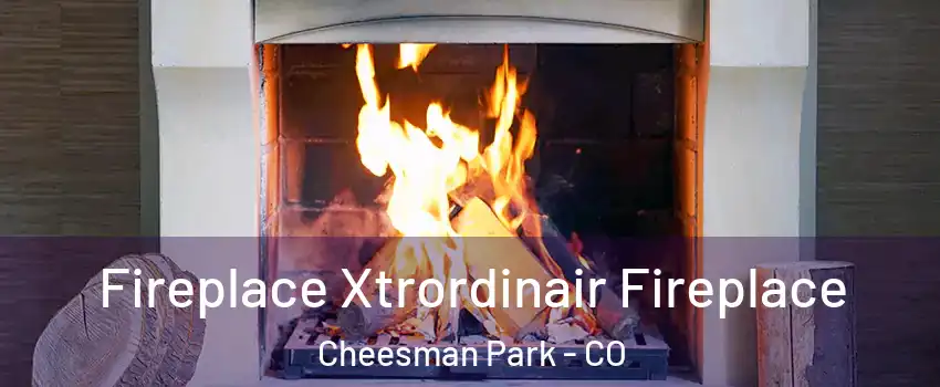 Fireplace Xtrordinair Fireplace Cheesman Park - CO