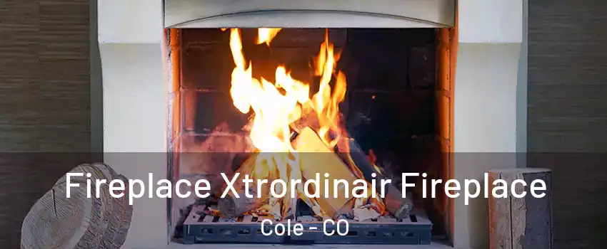 Fireplace Xtrordinair Fireplace Cole - CO
