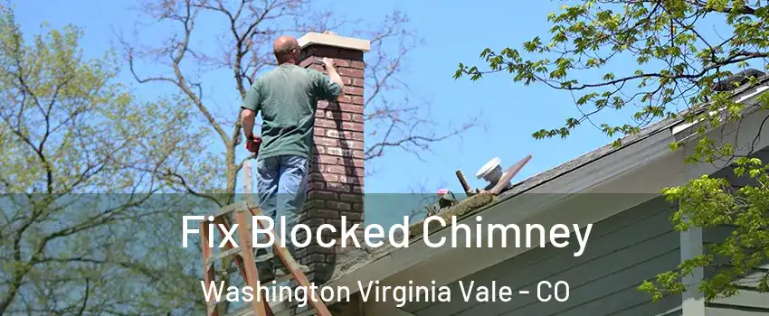 Fix Blocked Chimney Washington Virginia Vale - CO