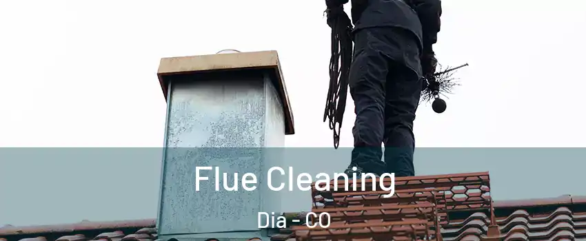 Flue Cleaning Dia - CO