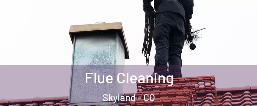 Flue Cleaning Skyland - CO