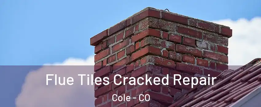 Flue Tiles Cracked Repair Cole - CO
