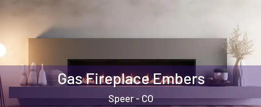 Gas Fireplace Embers Speer - CO