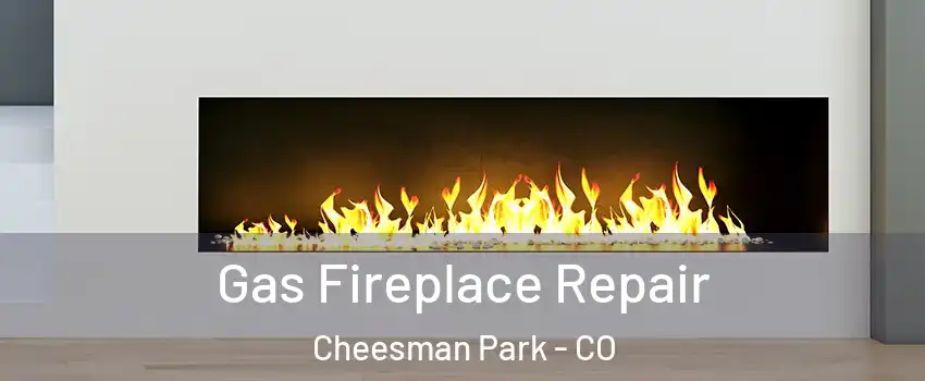 Gas Fireplace Repair Cheesman Park - CO