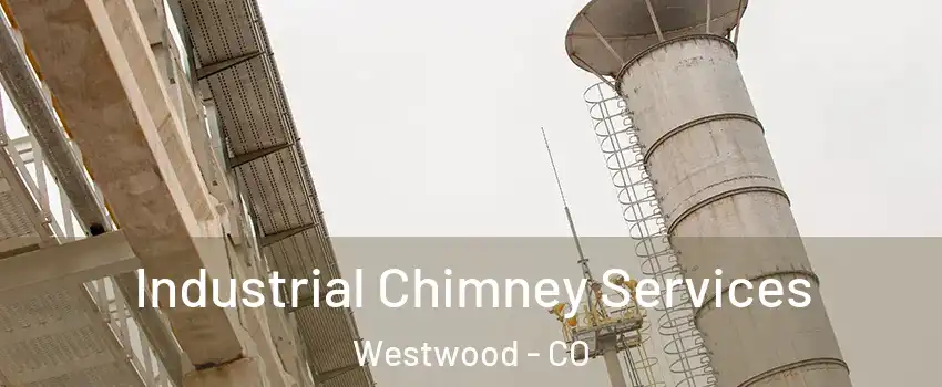 Industrial Chimney Services Westwood - CO