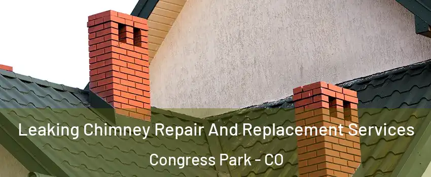 Leaking Chimney Repair And Replacement Services Congress Park - CO