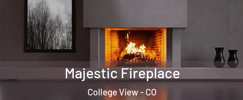 Majestic Fireplace College View - CO