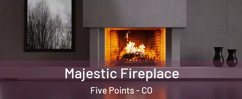 Majestic Fireplace Five Points - CO