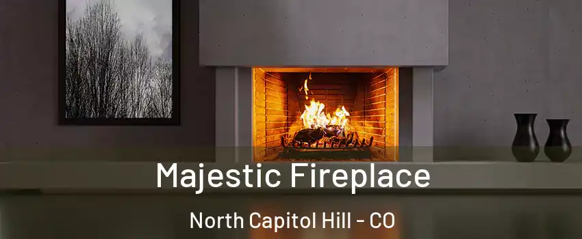 Majestic Fireplace North Capitol Hill - CO