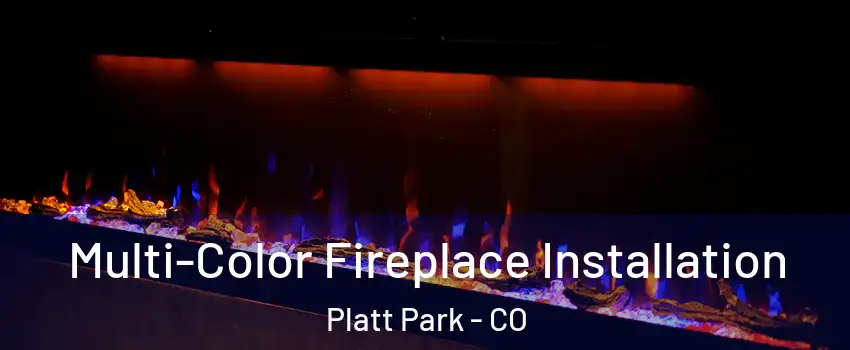 Multi-Color Fireplace Installation Platt Park - CO