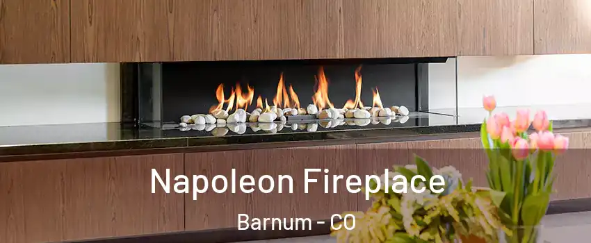 Napoleon Fireplace Barnum - CO